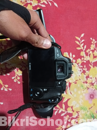 Canon kiss x7 and 55 mm prime lense